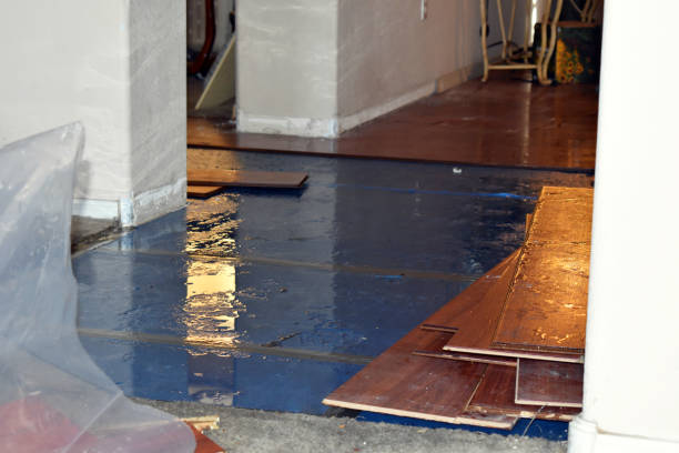 Professional Water Damage Restoration technician working in Hampstead, NC